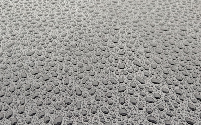 Waterproofing Services